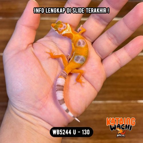 10 WB5244 U | Es Jeruk Unik 🧡✨