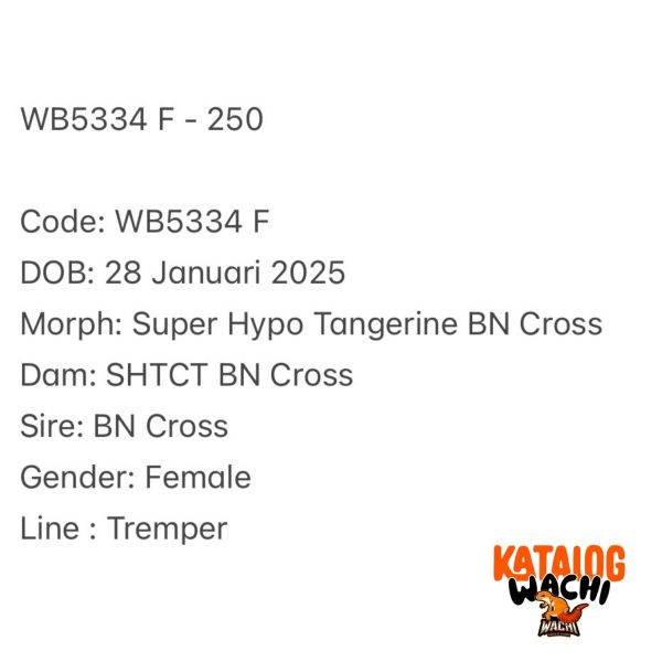 WB5334 F