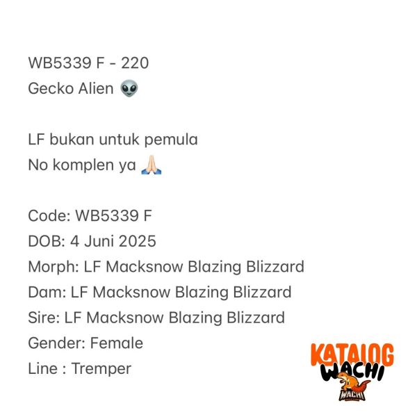 WB5339 F | Gecko Alien 👽