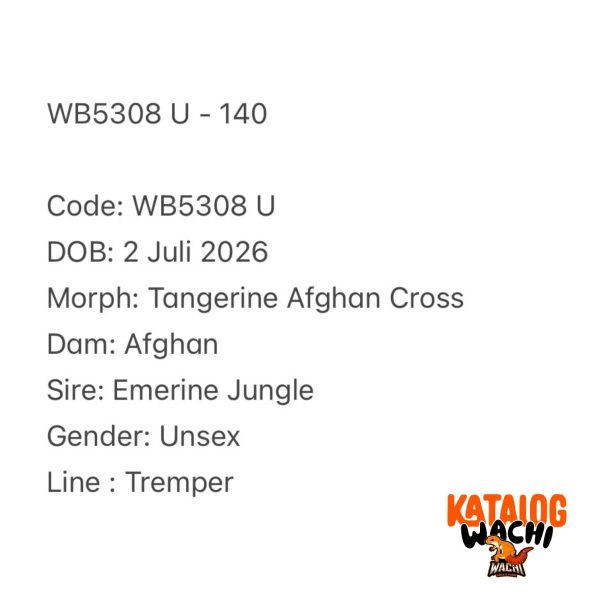 WB5308 U