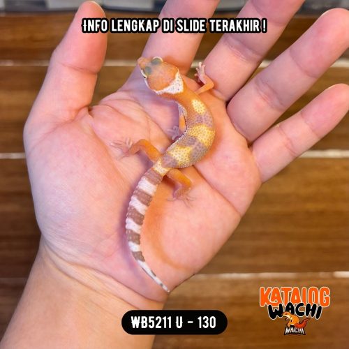 WB5211 U | Putih Pastel Gitu 🩷💛🤍