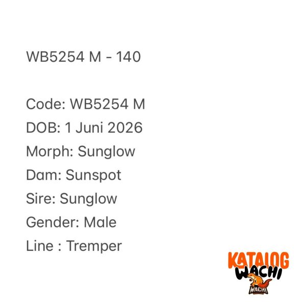 WB5254 M