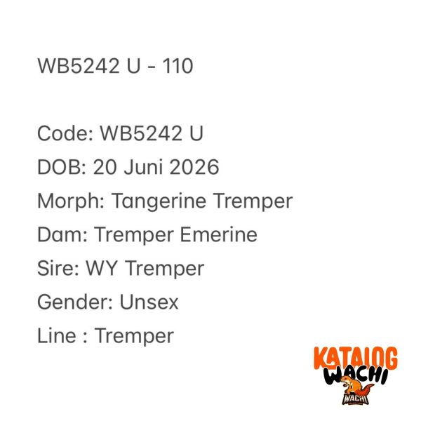WB5242 U