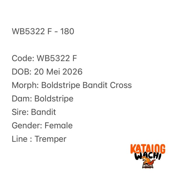 WB5322 F