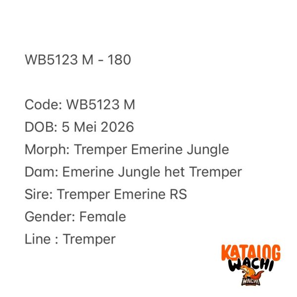 WB5123 M