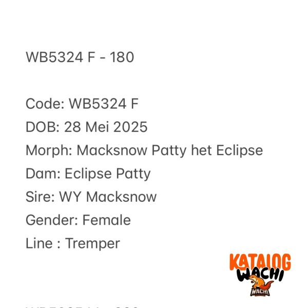 WB5324 F