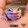 WB5328 M | Warnanya NGE-IJOO Banget 🐊