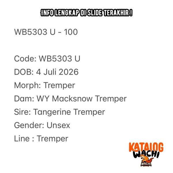 WB5303 U