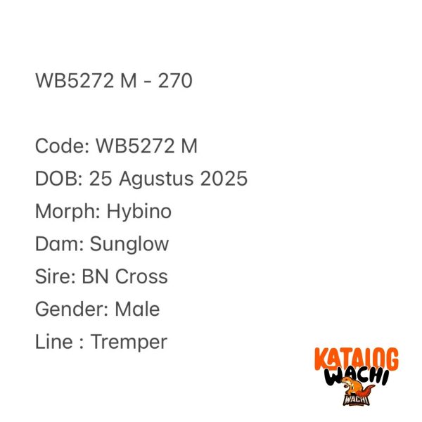 WB5272 M