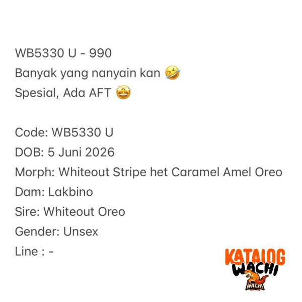 WB5330 U | Banyak yang nanyain kan 🤣 Spesial, Ada AFT 🤩