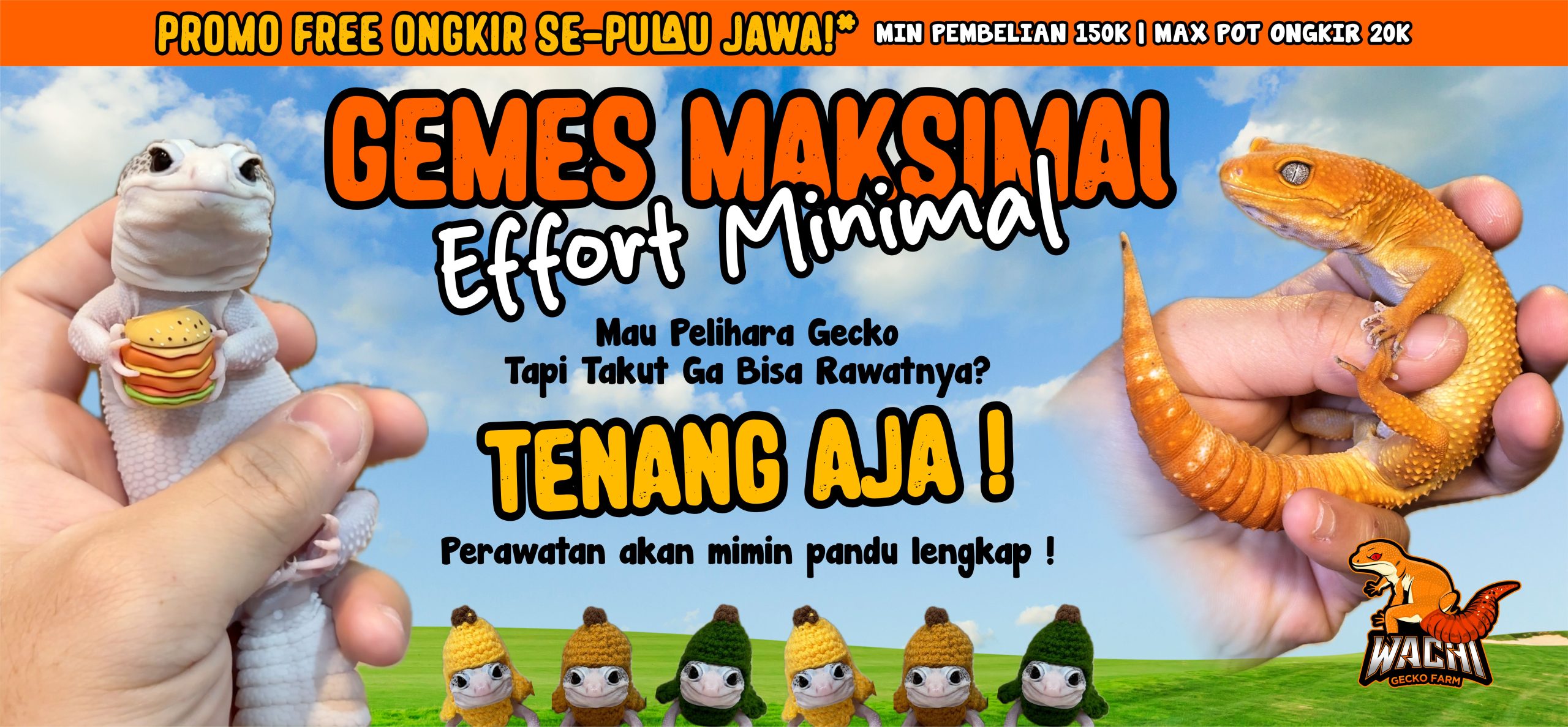 Main Banner