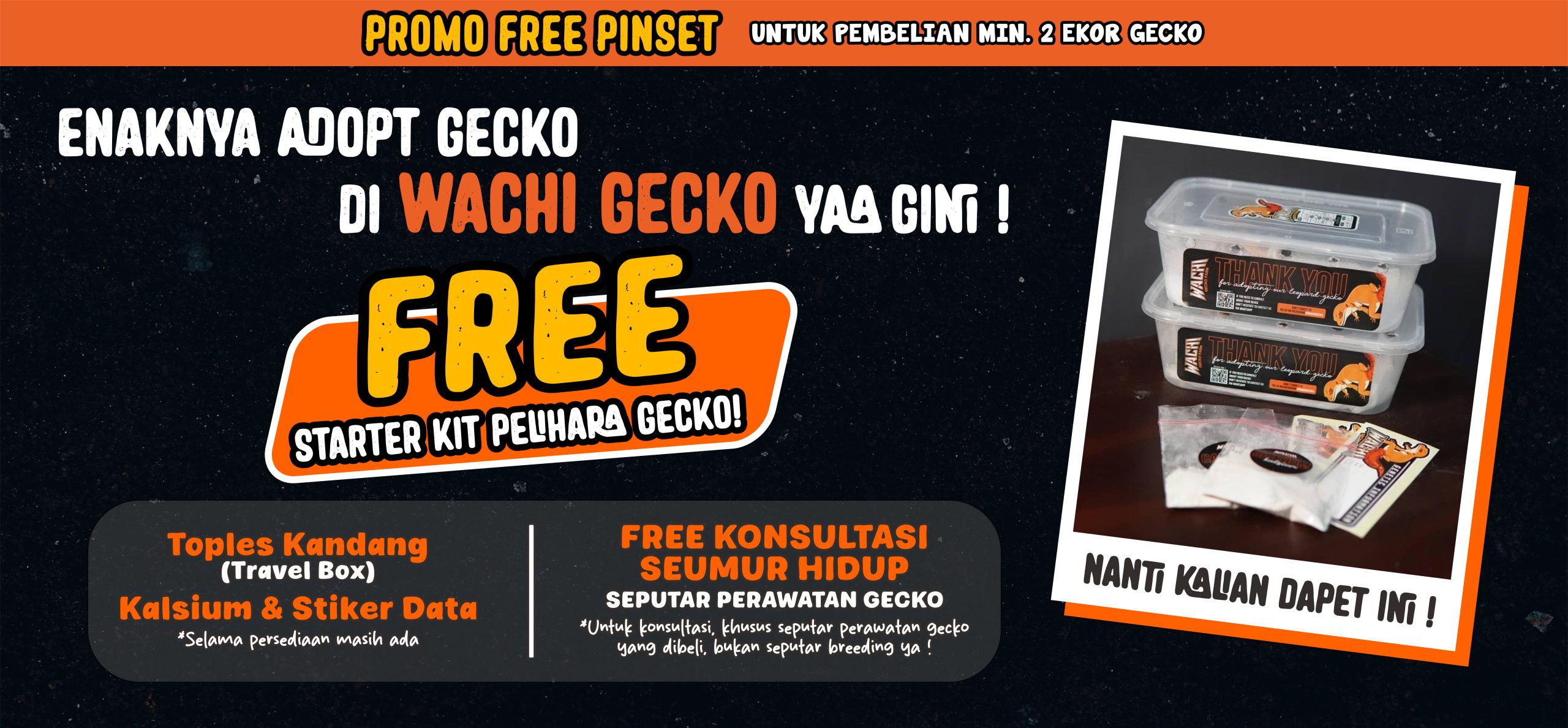 Main Banner2