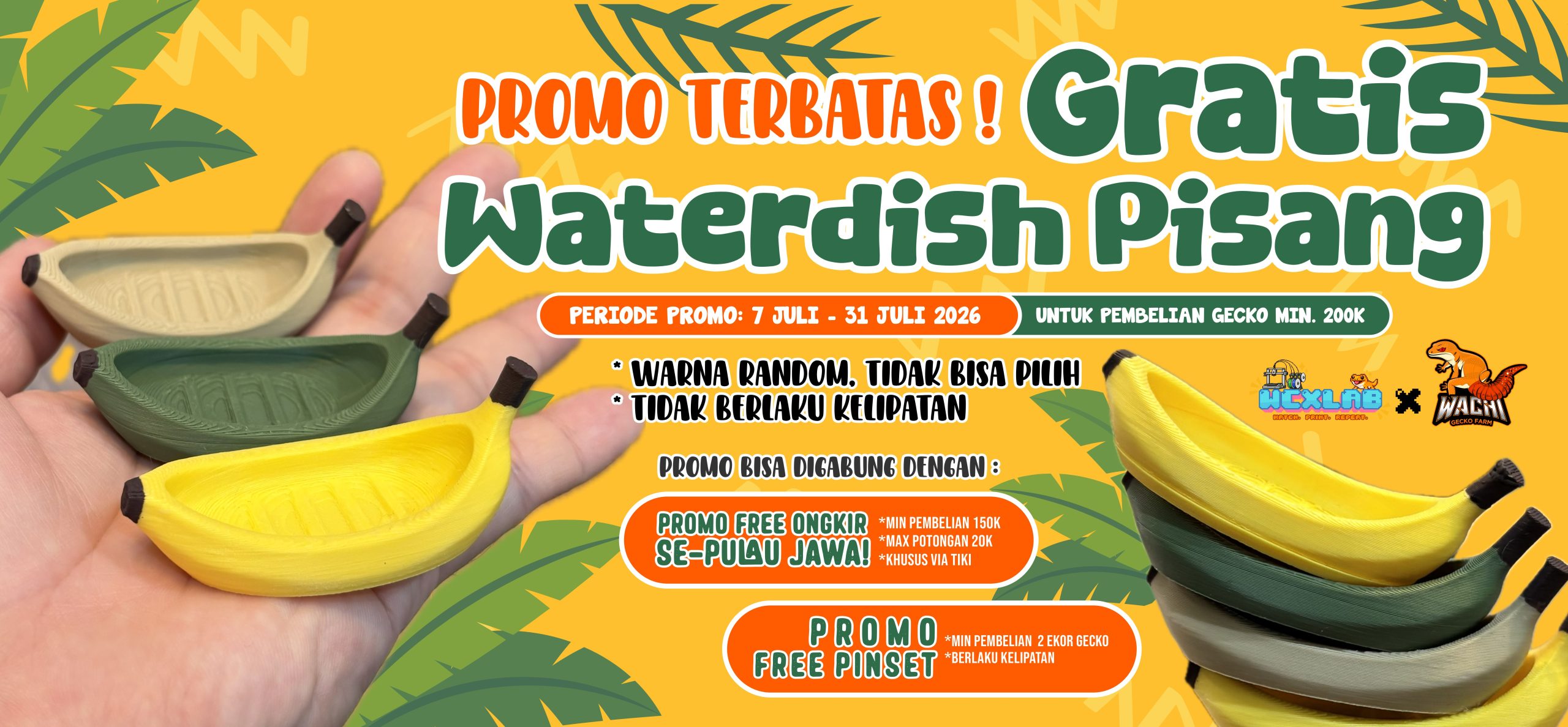 PROMO PISANG