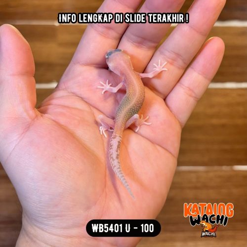 WB5401 U