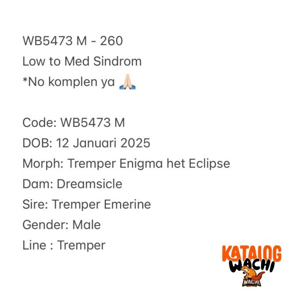 WB5473 M