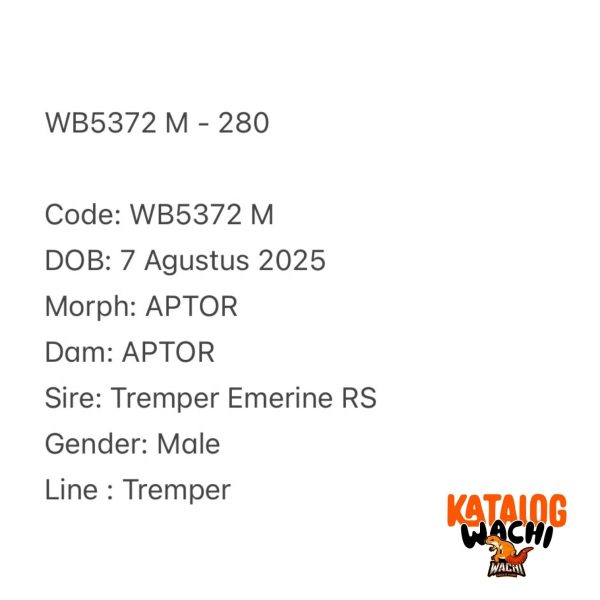 WB5372 M