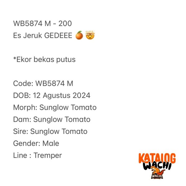 WB5874 M | Es Jeruk GEDEEE 🍊🤯
