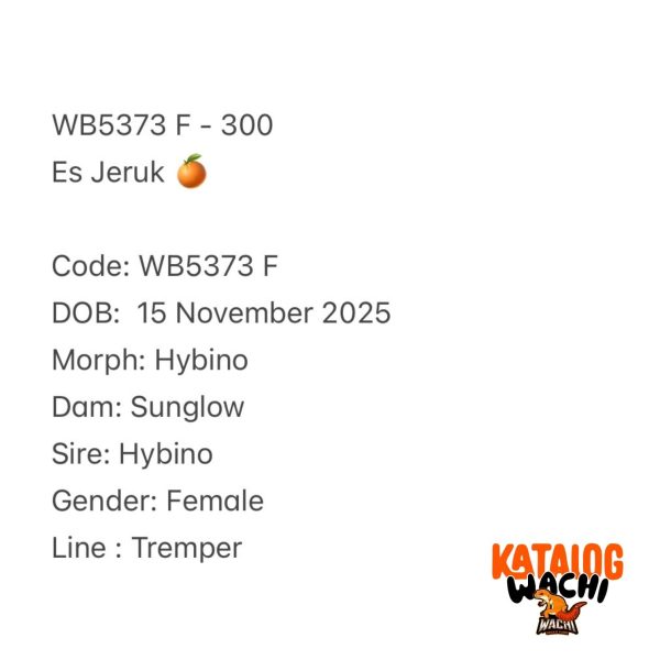 WB5373 F | Es Jeruk 🍊