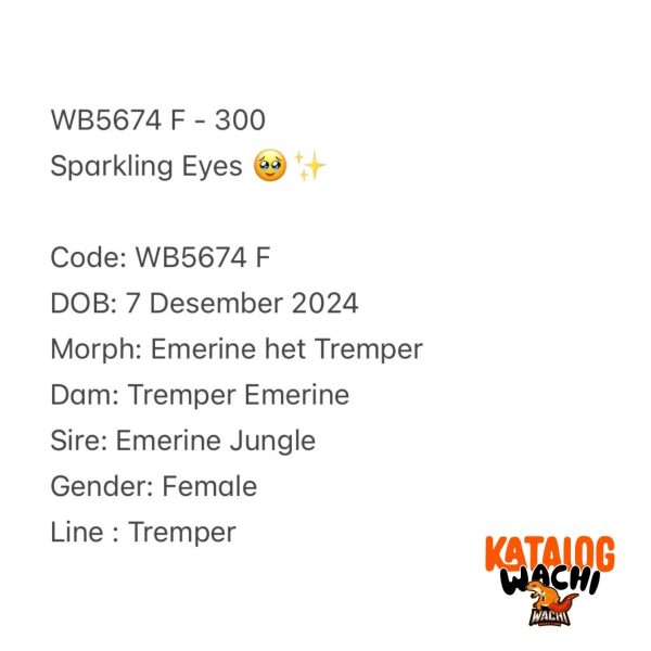 WB5674 F | Sparkling Eyes 🥹✨