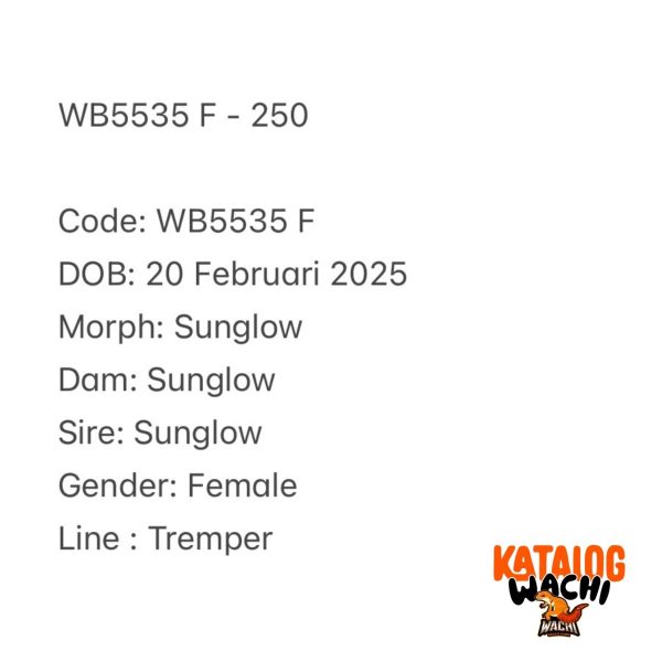 WB5535 F