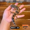 WB5876 F | Ireng Jeruk 🖤🧡 Ovulasi, Siap Kawin 👌🏻