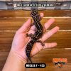 WB5838 F | Gecko IRENG 🖤✨