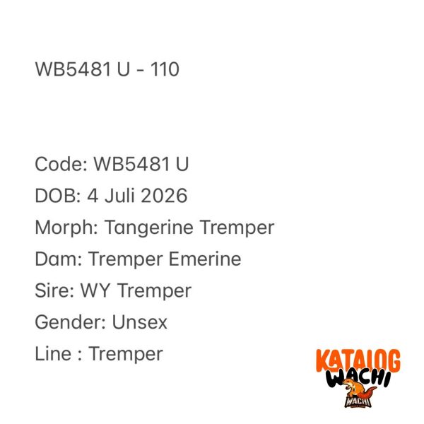 WB5481 U