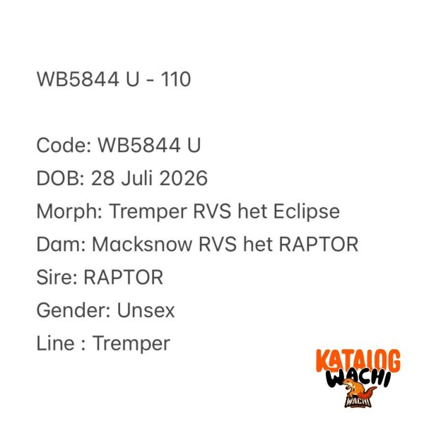 WB5844 U