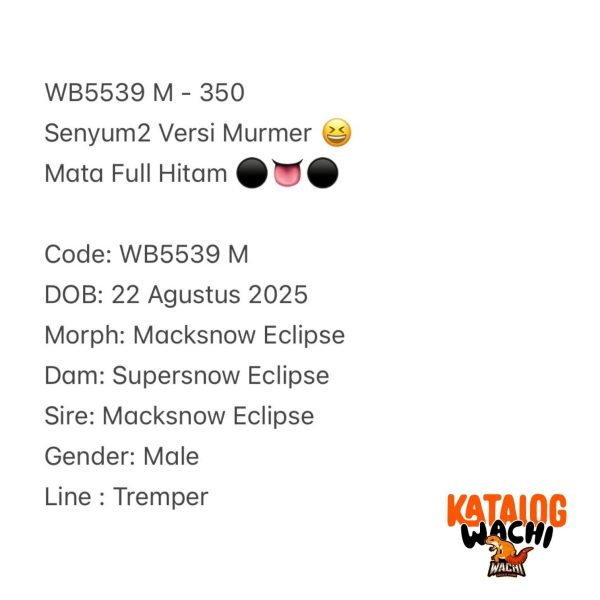 WB5539 M | Senyum2 Versi Murmer 😆 Mata Full Hitam ⚫️👅⚫️
