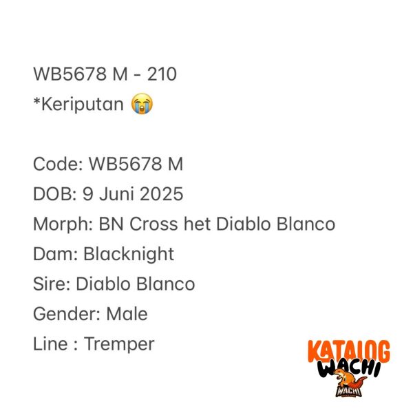 WB5678 M