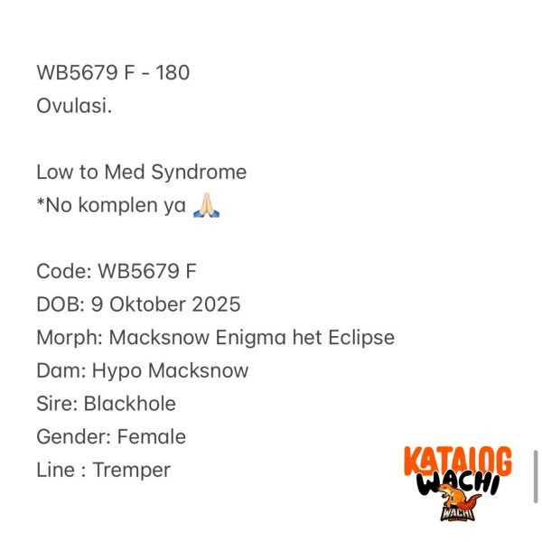 WB5679 F