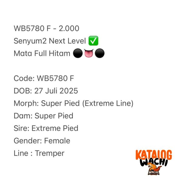WB5780 F | Senyum2 Next Level ✅ Mata Full Hitam ⚫️👅⚫️