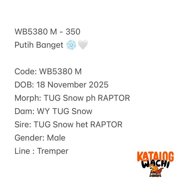 WB5380 M | Putih Banget ❄️🤍