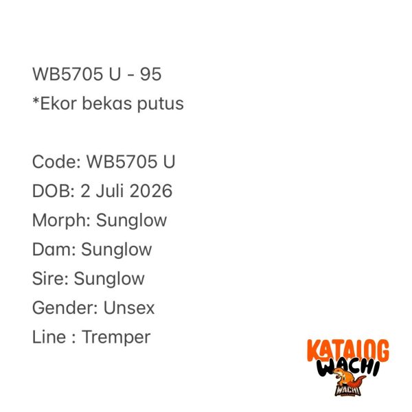 WB5705 U