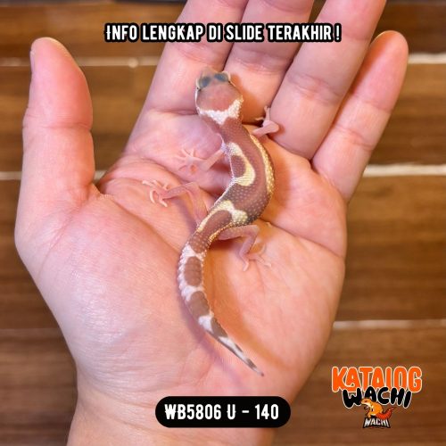 WB5806 U | Baby Pinky 🩷🤍