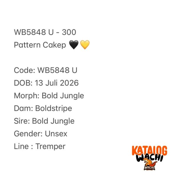 WB5848 U | Pattern Cakep 🖤💛