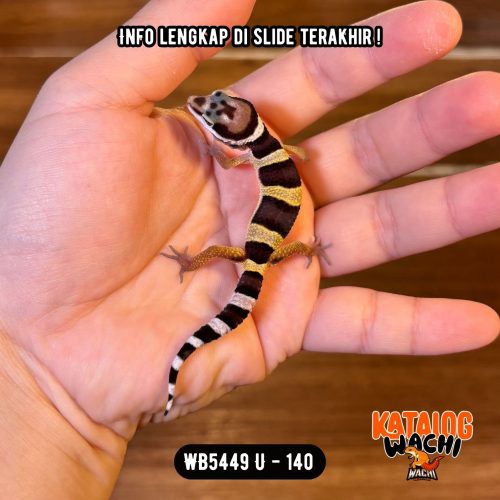 WB5449 U | Baby Lebah 🐝