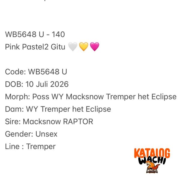 WB5648 U | Pink Pastel2 Gitu 🤍💛🩷
