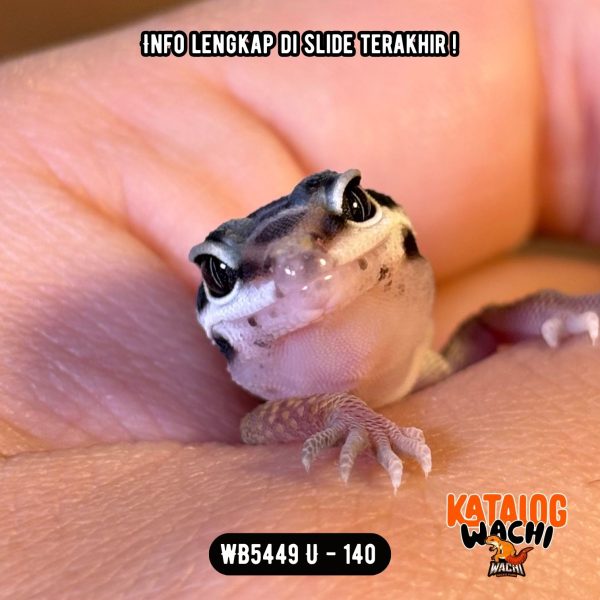 WB5449 U | Baby Lebah 🐝