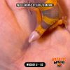 WB5801 U