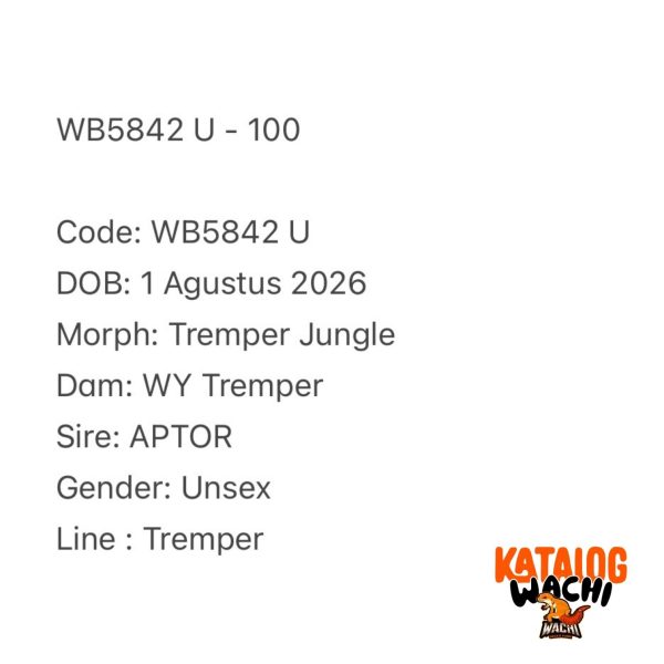 WB5842 U