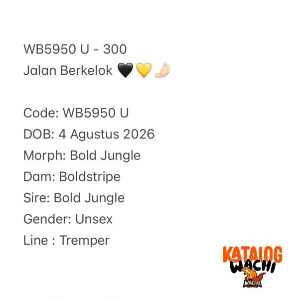 WB5950 U | Jalan Berkelok 🖤💛🤌🏻