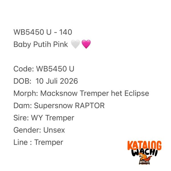 WB5450 U | Baby Putih Pink 🤍🩷