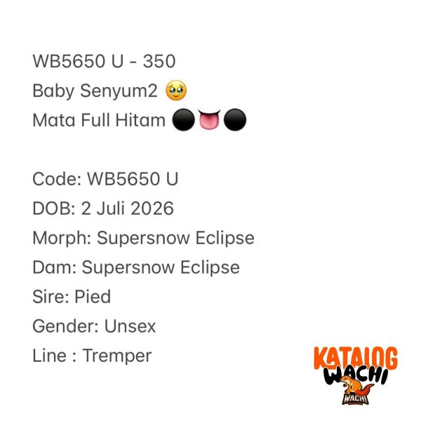 WB5650 U | Baby Senyum2 🥹 Mata Full Hitam ⚫️👅⚫️