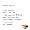 WB5351 U
