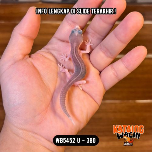 WB5452 U | Baby Si Paling Senyum 🥹 Mata Full Hitam ⚫️👅⚫️