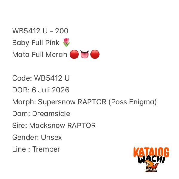 WB5412 U | Baby Full Pink 🌷 Mata Full Merah 🔴👅🔴