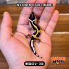 WB5653 U | Baby Jalan Berkelok 🖤💛