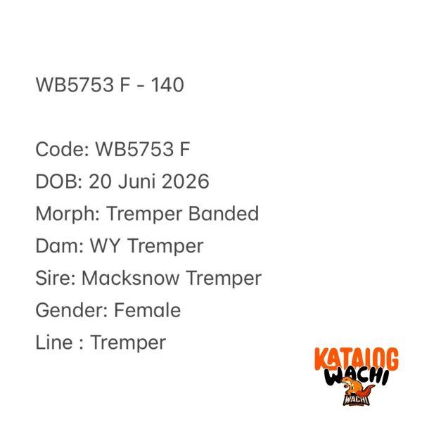 WB5753 F