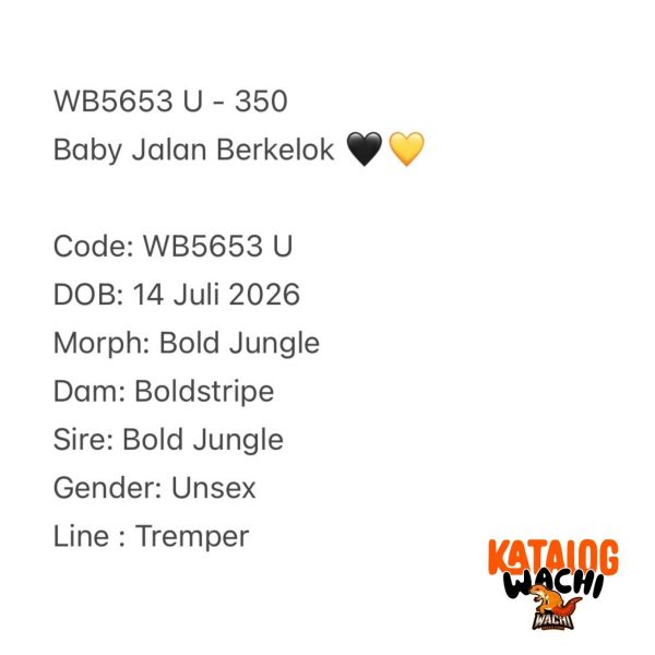 WB5653 U | Baby Jalan Berkelok 🖤💛